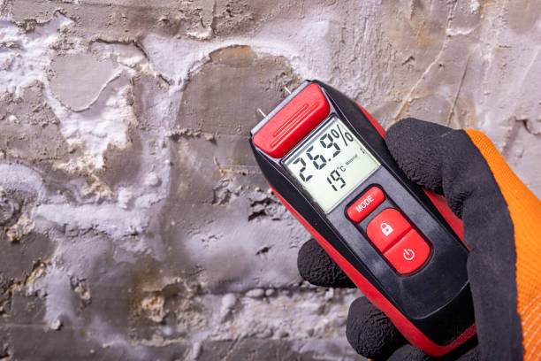 Best Mold Testing  in Bastrop, TX
