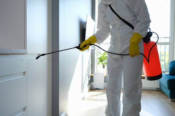Mold Testing and Removal in Bastrop, TX