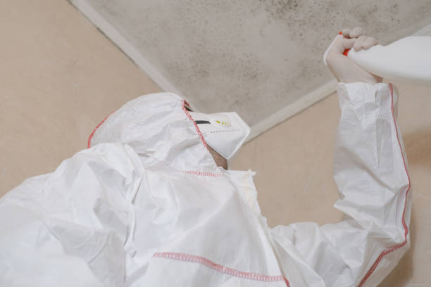 Best Mold Remediation Services  in Bastrop, TX